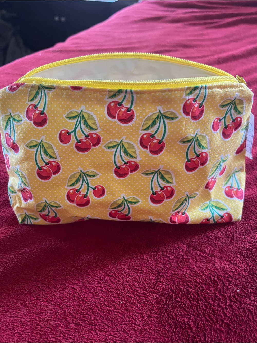 Make up case